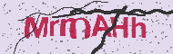 Codice captcha